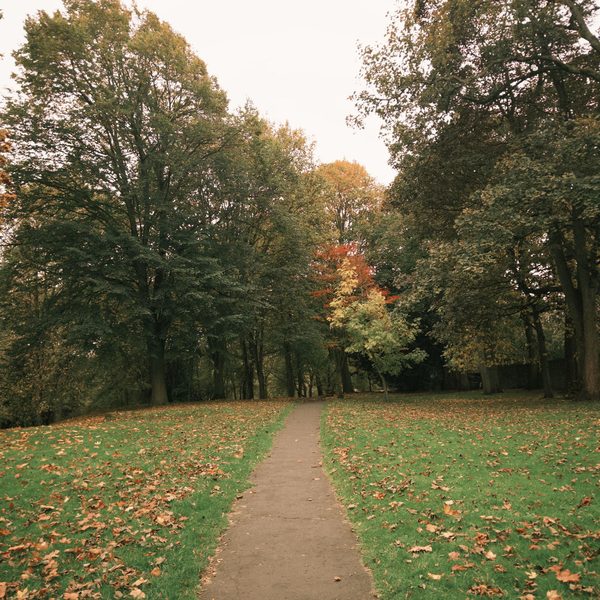 Caminho coberto de folhas de outono em um parque